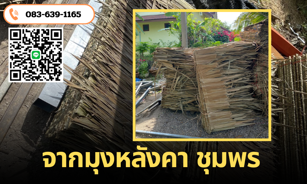 จากมุงหลังคา ชุมพร