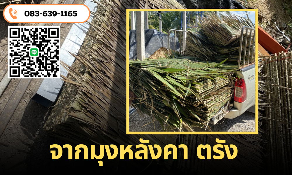 จากมุงหลังคา ตรัง