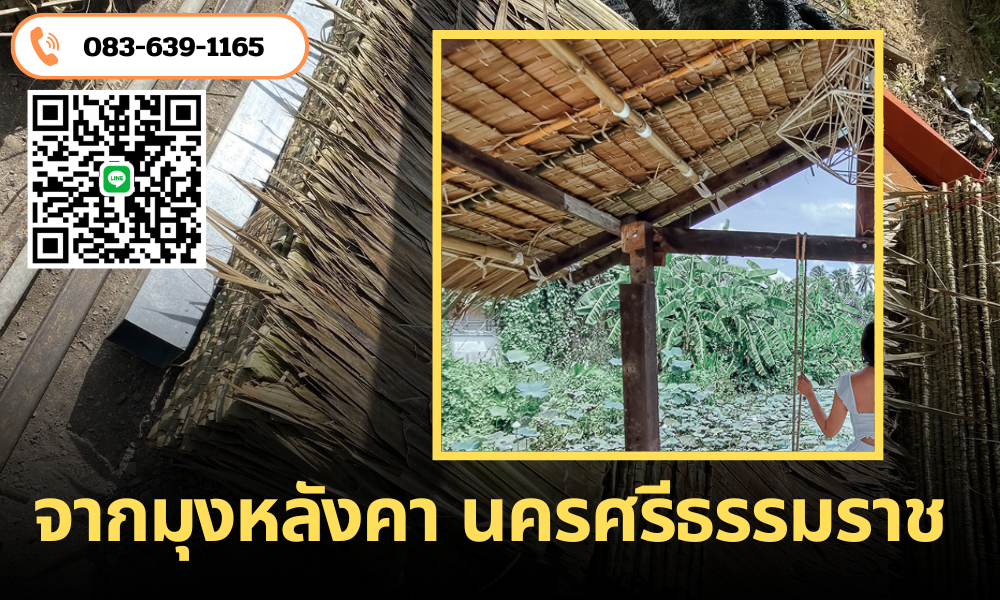 จากมุงหลังคา นครศรีธรรมราช