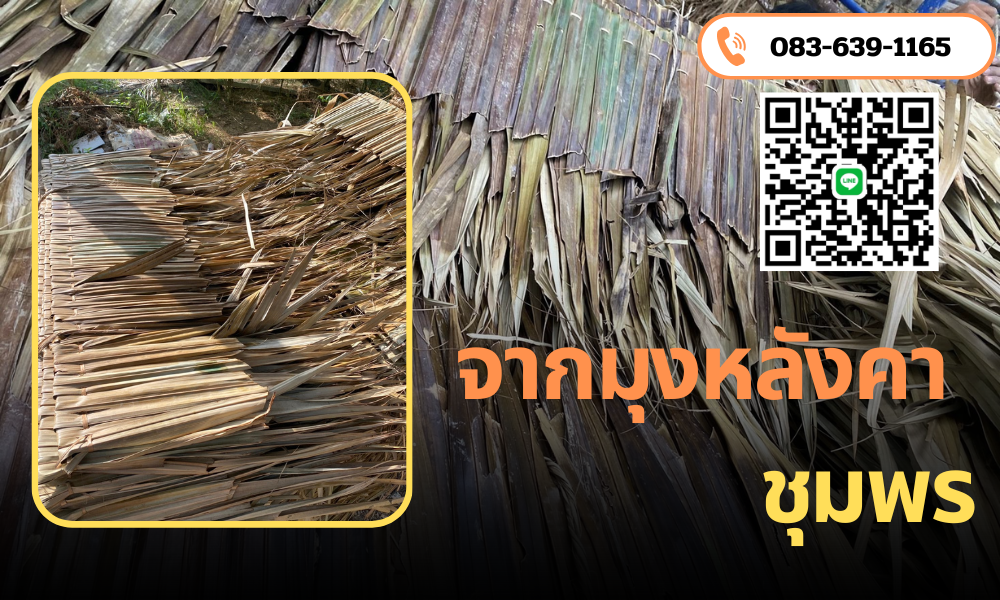 จากมุงหลังคาชุมพร