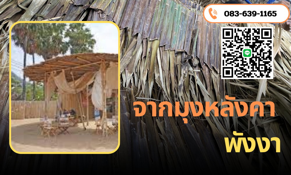 จากมุงหลังคาพังงา