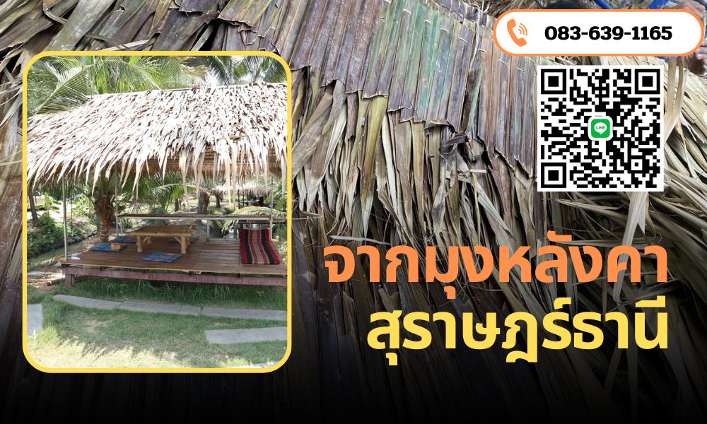 จากมุงหลังคาสุราษฎร์ธานี