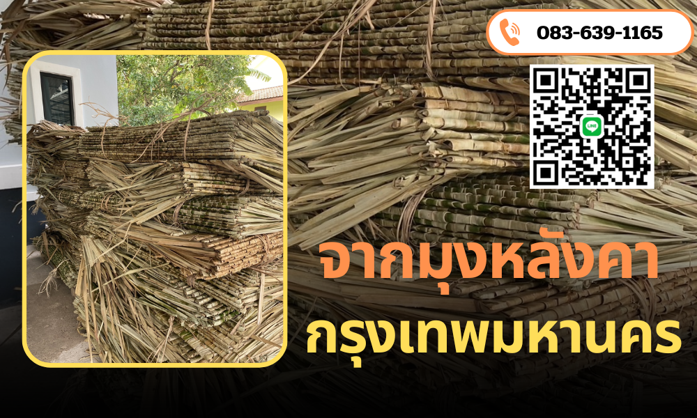 จากมุงหลังคา กรุงเทพมหานคร