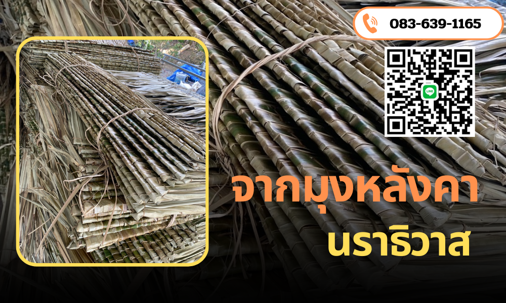 จากมุงหลังคา นราธิวาส