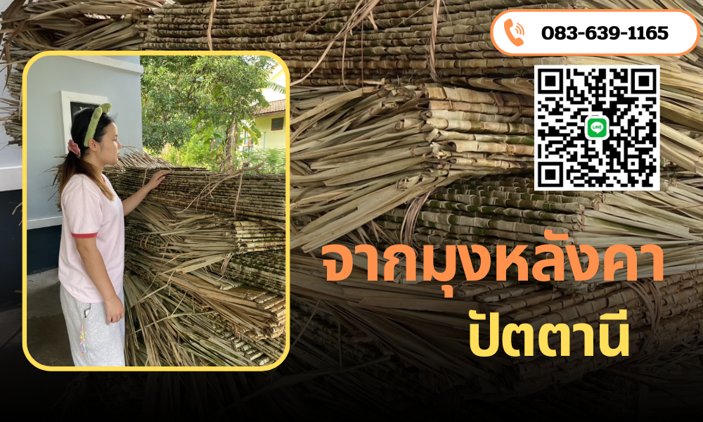 จากมุงหลังคา ปัตตานี