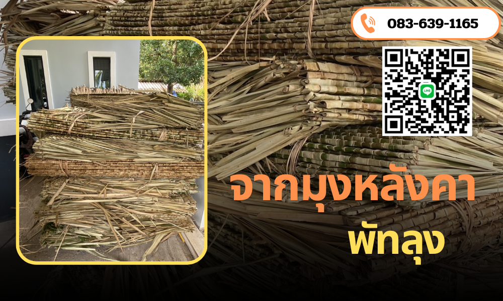 จากมุงหลังคา พัทลุง
