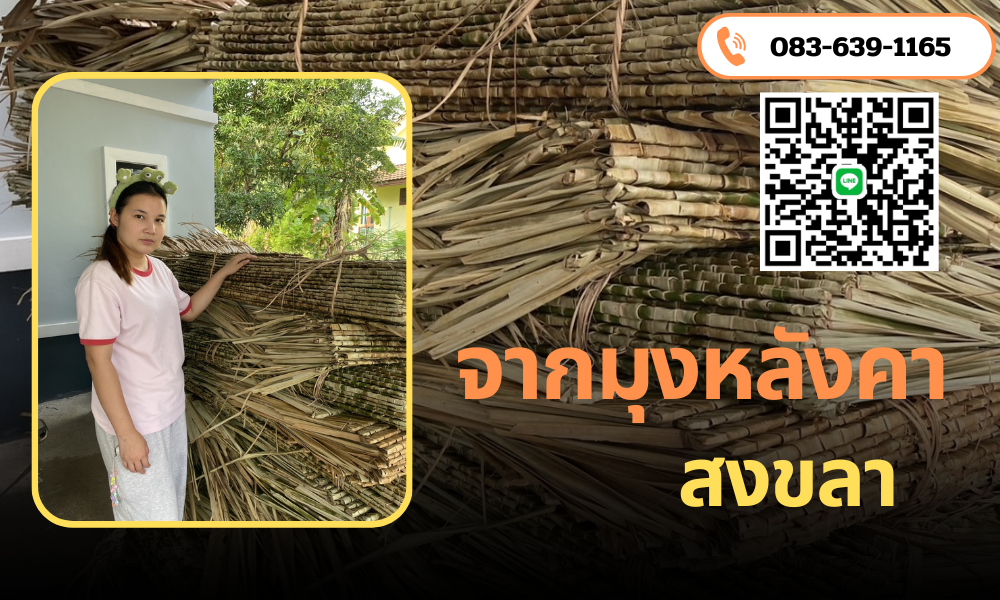 จากมุงหลังคา สงขลา